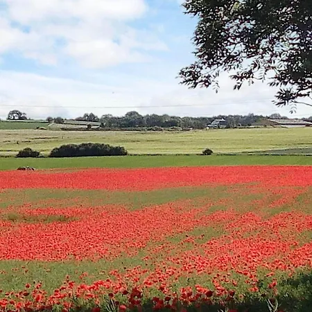 Vakantiehuis 6 Person In Frederiksvaerk-by Traum